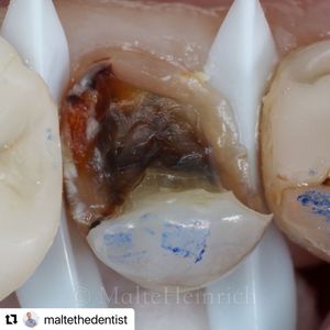 Image post by @ripeglobal on Instagram