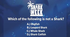 Image post by @jaxsharks on Instagram