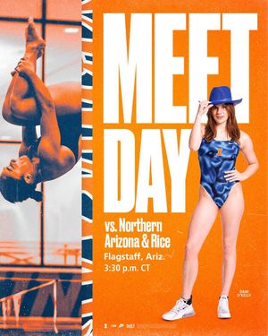 Image post by @illiniswimdive on Instagram