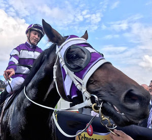 Image post by @australianturfclub on Instagram