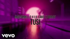 Video post by @marshmellovevo6838 on YouTube