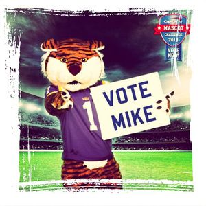 Image post by @lsutigergirls on Instagram