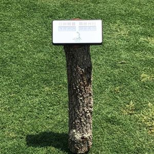Image post by @flagdgolf on Instagram