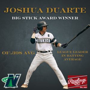 Image post by @duluthhuskies on Instagram