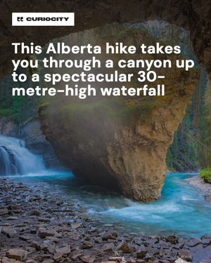 Image post by @curiocitycalgary on Instagram