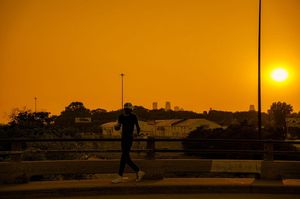 Image post by @scoutmason3 on Instagram