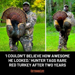 Image post by @outdoor_life on Instagram