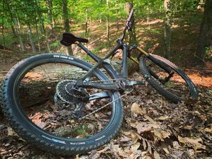 Image post by @bikerumor on Instagram