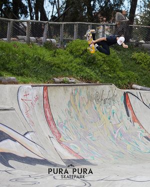 Image post by @redbullskate on Instagram