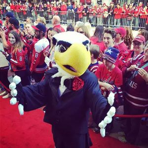 Image post by @caps_slapshot on Instagram