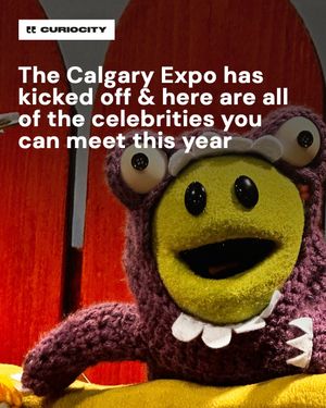 Image post by @curiocitycalgary on Instagram