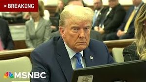Video post by @msnbc on YouTube