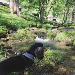 Image post by @annabellescurse on Instagram