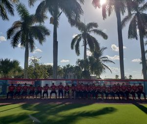 Image post by @fausoftball on Instagram