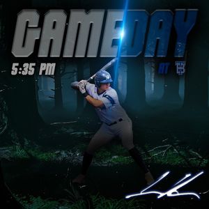 Image post by @duluthhuskies on Instagram