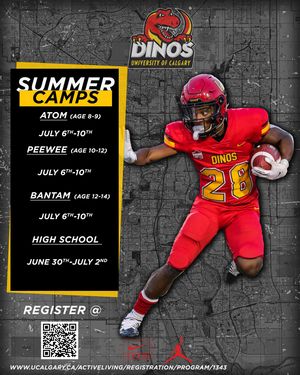 Image post by @dinos_football on Instagram