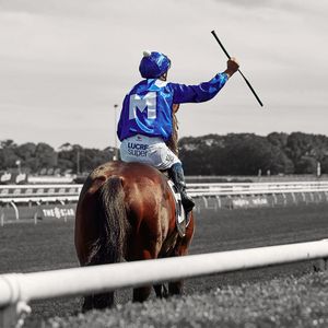 Image post by @australianturfclub on Instagram