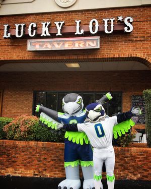 Image post by @blitztheseahawk on Instagram
