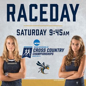 Image post by @cujackets on Instagram