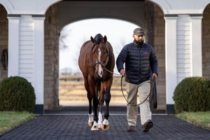 Image post by @spendthriftfarm on Instagram