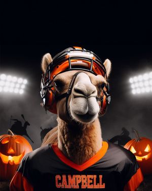 Image post by @gocamelsfb on Instagram