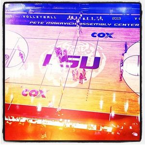 Image post by @lsuvolleyball on Instagram