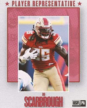 Image post by @theuflpa on Instagram