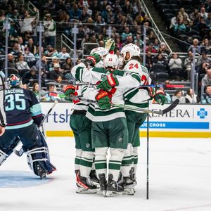 Image post by @minnesotawild on Instagram