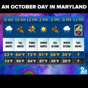 Image post by @wmar2news on Instagram