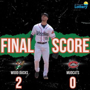 Image post by @gowoodducks on Instagram