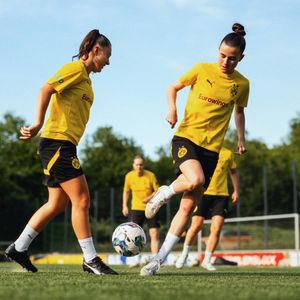 Image post by @BVB on Twitter