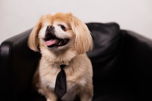 Image post by @redthreadads on Twitter