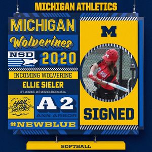 Image post by @umichsoftball on Instagram