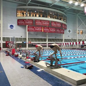 Image post by @ugaswimdive on Instagram