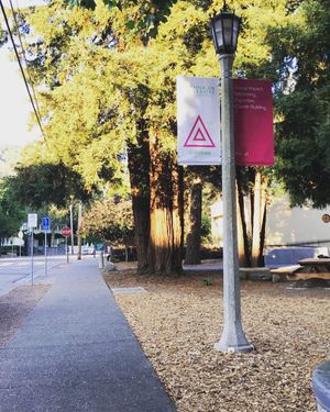 Image post by @dominicanuniversityca on Instagram