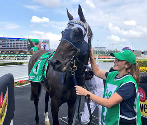Image post by @australianturfclub on Instagram
