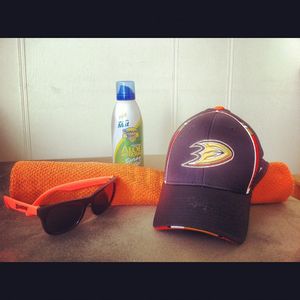 Image post by @anaheimducks on Instagram