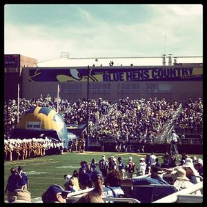 Image post by @udbluehens on Instagram