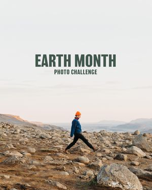 Image post by @moment on Instagram