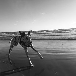 Image post by @rstaatgarcia on Instagram