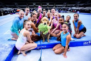 Image post by @usagym on Instagram