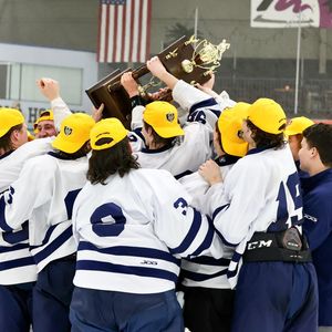 Image post by @pennstateharrisburghockey on Instagram
