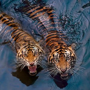 Image post by @discovery on Instagram