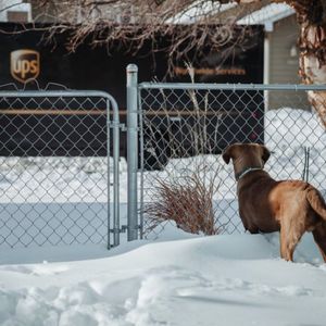 Image post by @UPS on Twitter