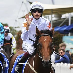 Image post by @australianturfclub on Instagram