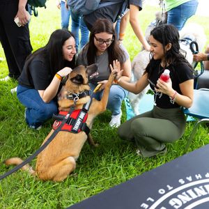 Image post by @utrgv on Instagram
