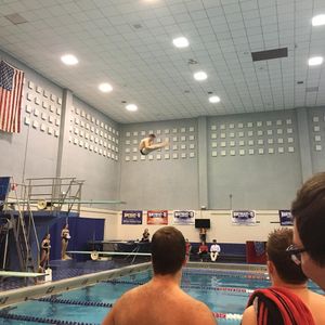 Image post by @wpiswimdive on Instagram