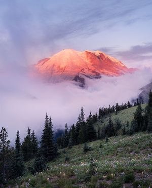Image post by @nationalparkscollective on Instagram