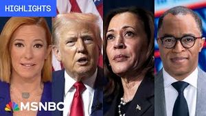 Video post by @msnbc on YouTube