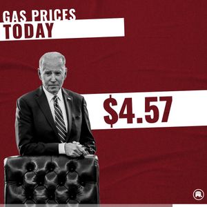 Image post by @gop on Instagram